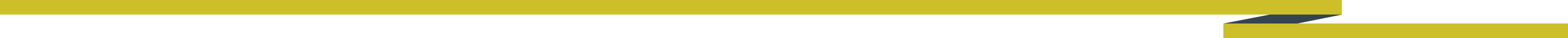 Horizontale Linie im Banner