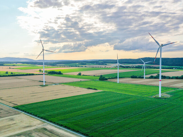 Windräder auf einem Feld