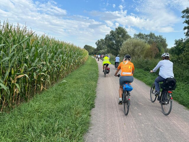 Braunschweiger Landpartie 2024: Radfahrer auf dem Feldweg