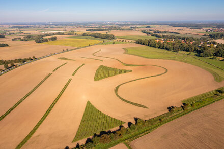 Agriforst in Lucklum - Innovative Landwirtschaft in der Region