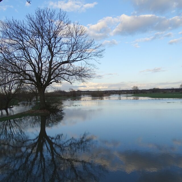 Hochwasser 2015 in Lehre an der Schunterbrücke