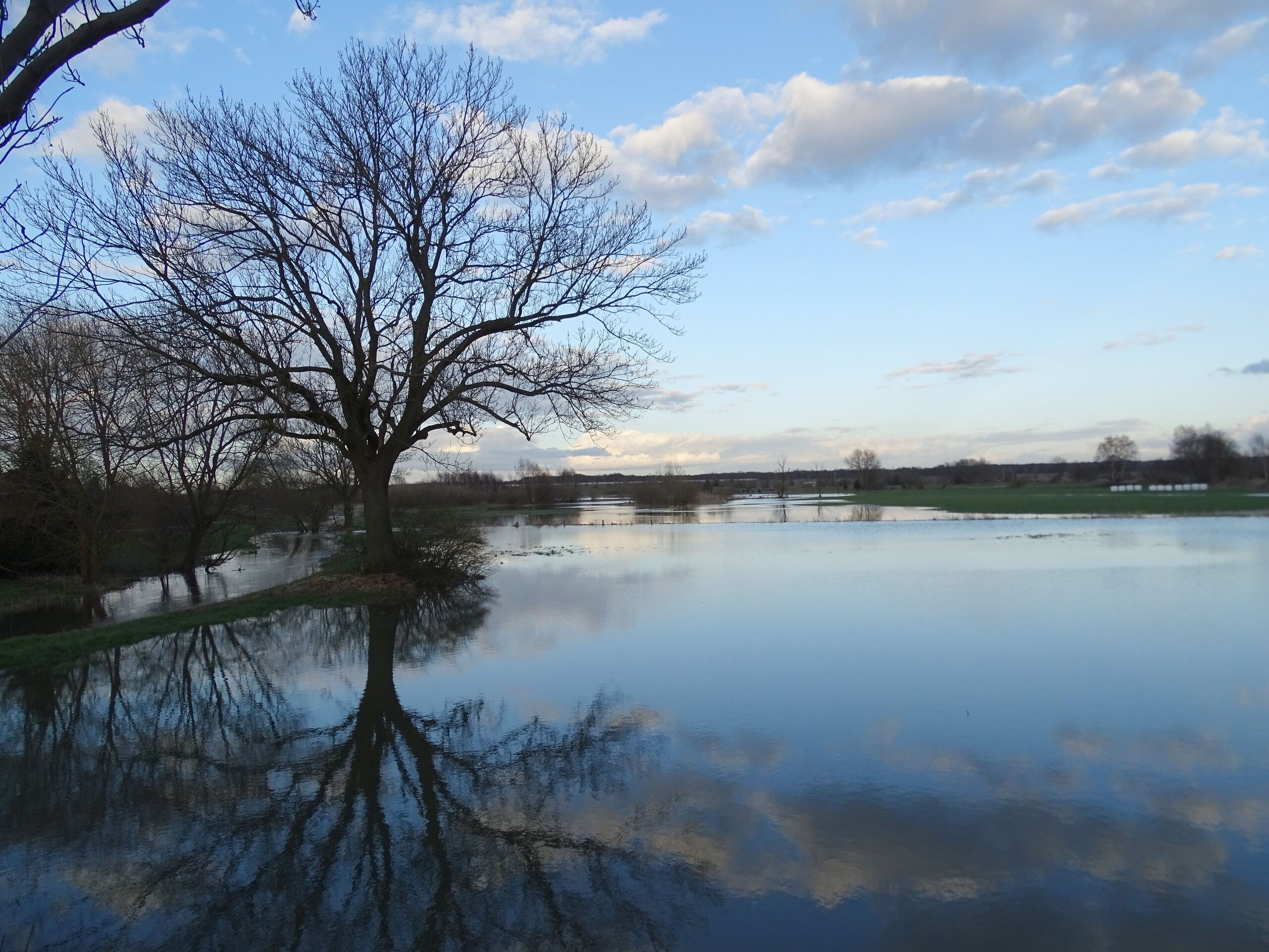 Hochwasser 2015 in Lehre an der Schunterbrücke