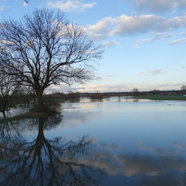 Hochwasser 2015 in Lehre an der Schunterbrücke