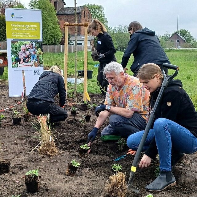 Bürgermeister Herbert Pieper pflanzt Gemüse im Schottergarten in Wahrenholz