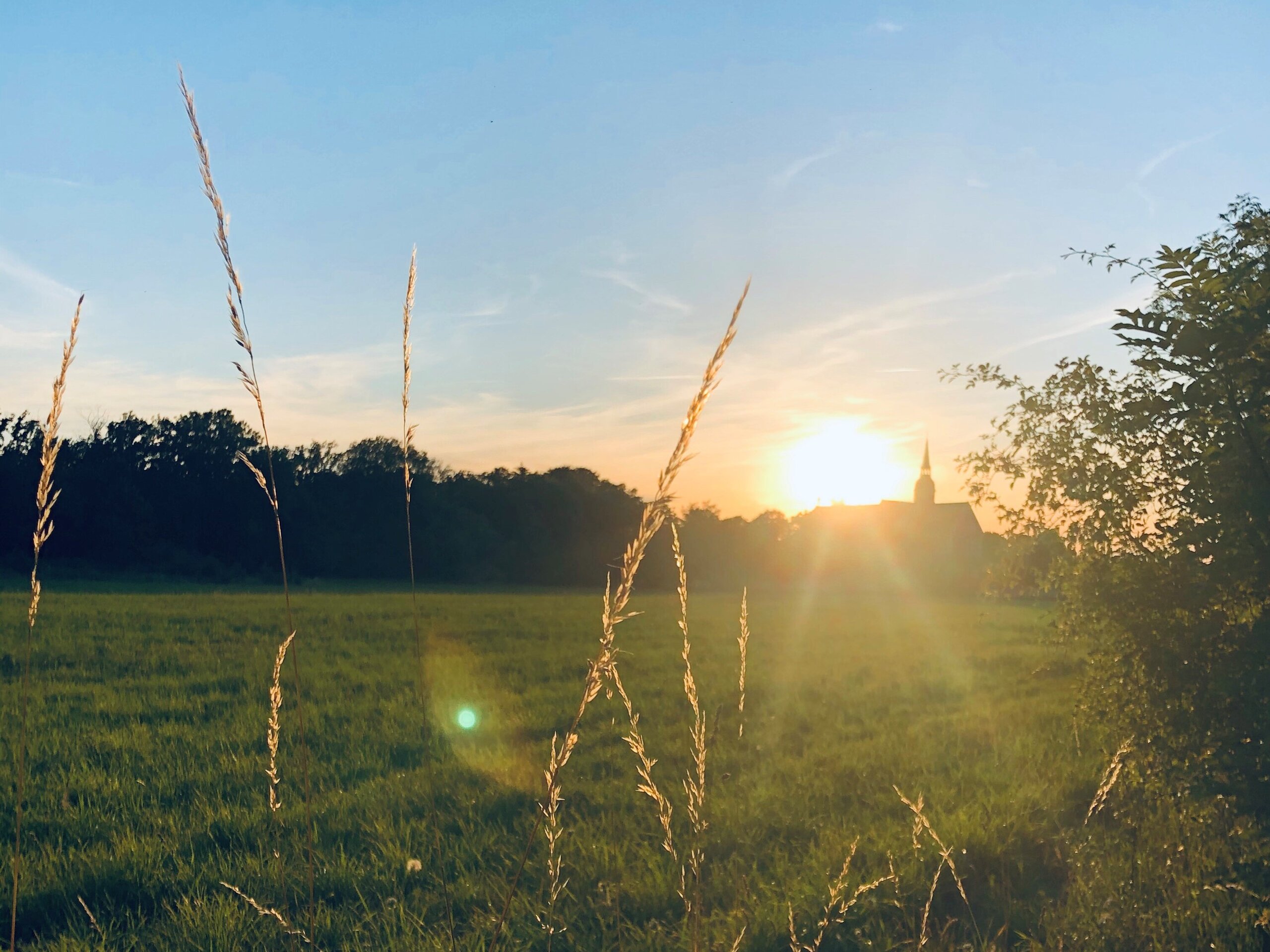 Sonnenuntergang am Kloster Riddagshausen