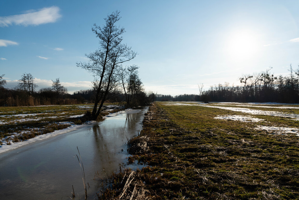 Einer der zahlreichen Entw&auml;sserungskan&auml;le, die dem Dr&ouml;mling das Wasser entziehen. 