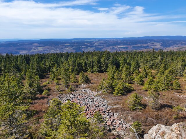 Foto: Blick über den Harz