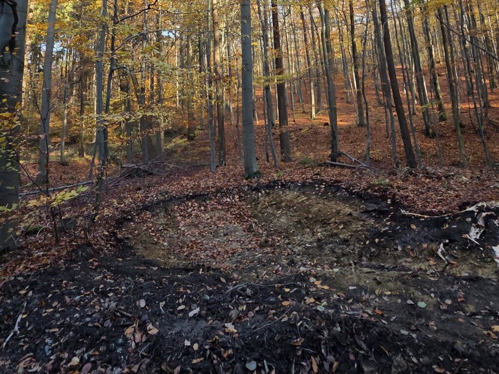 Die Wegeseitentümpel sind nicht nur eine wirkungsvolle Maßnahme für den Wasserückhalt im Wald