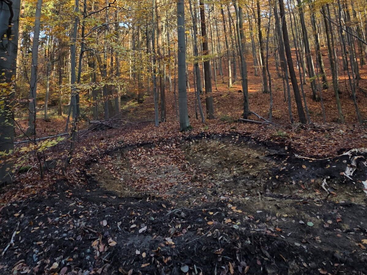Die Wegeseitentümpel sind nicht nur eine wirkungsvolle Maßnahme für den Wasserückhalt im Wald