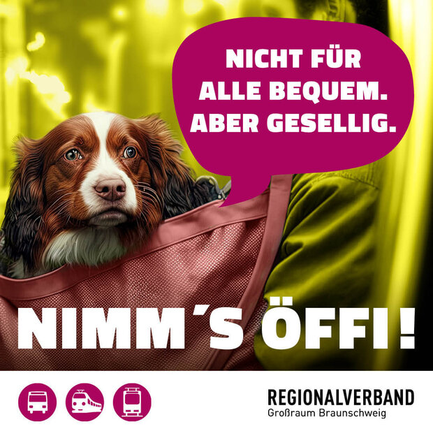 Ein Hund sitzt in einer Handtasche im Bus. Dazu der Satz "Nicht für alle bequem. Aber gesellig."