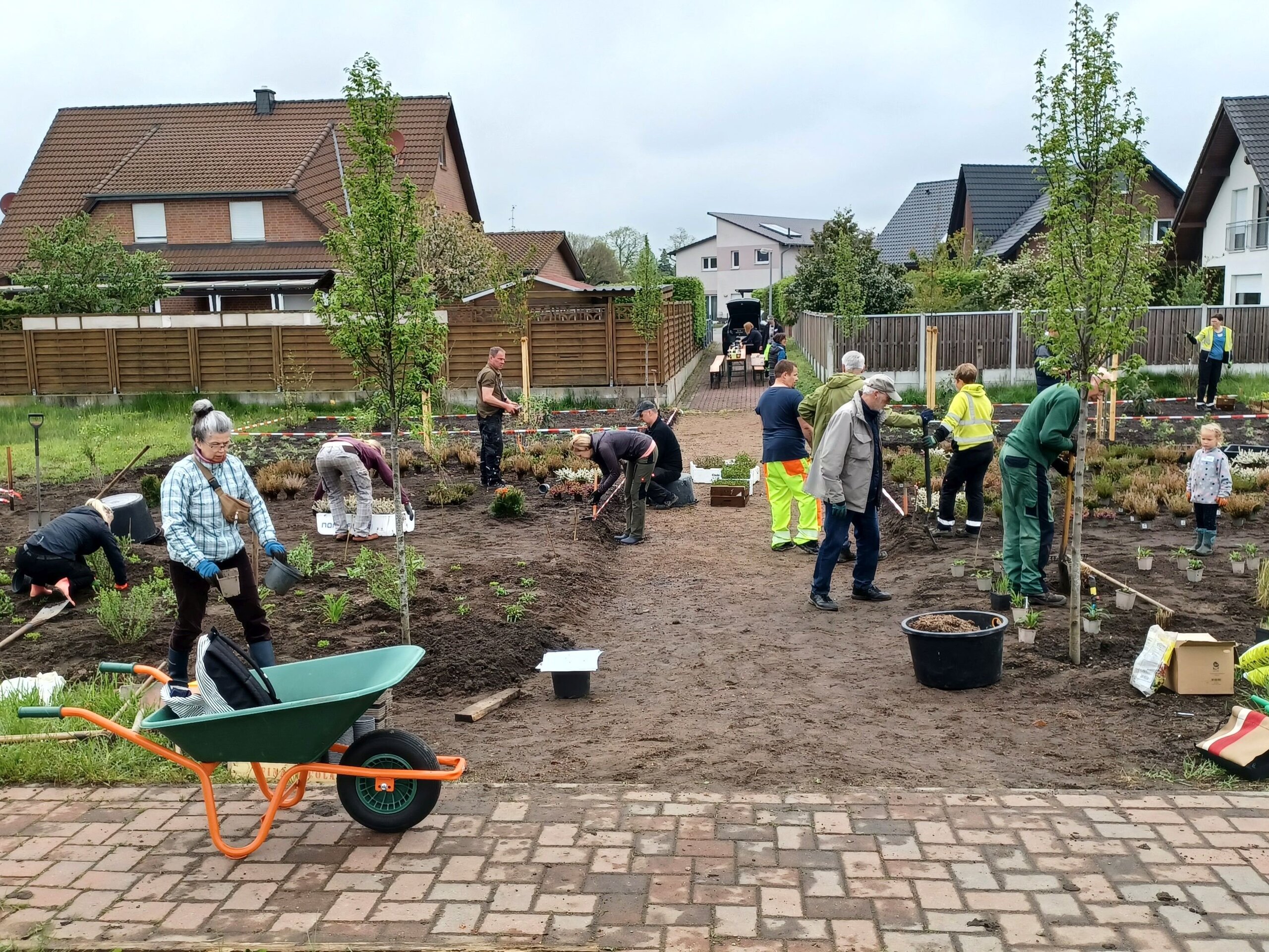 Viele Menschen pflanzen Gemüse im Schottergarten in Wahrenholz an.