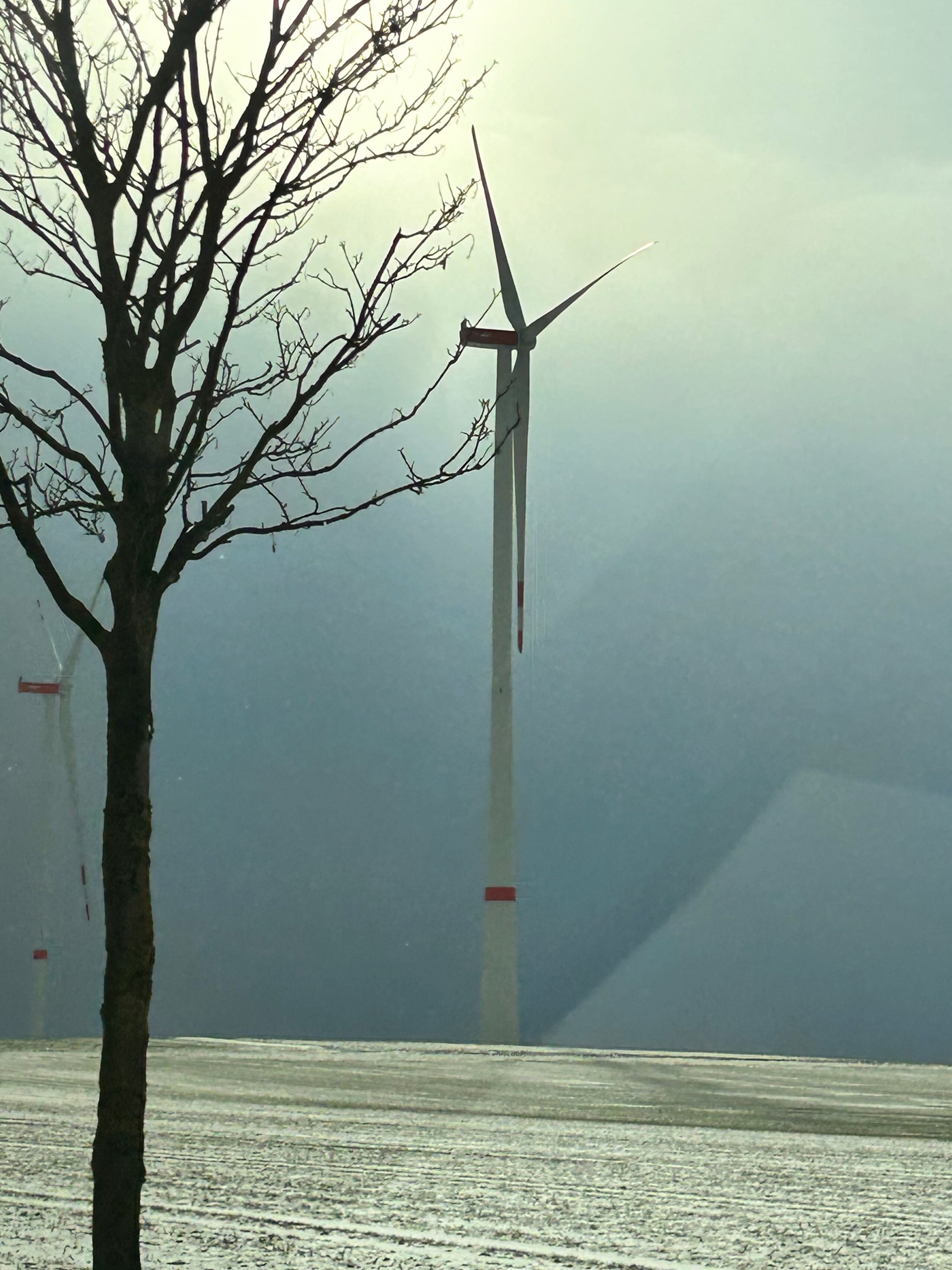 Windrad im Zwielicht