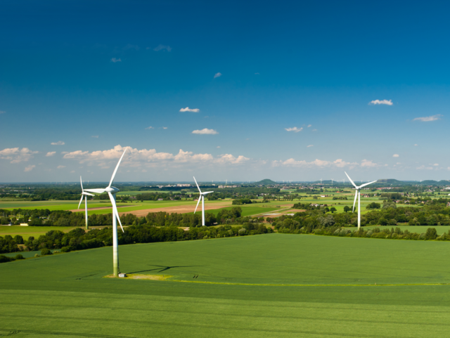 Windräder auf einem Feld