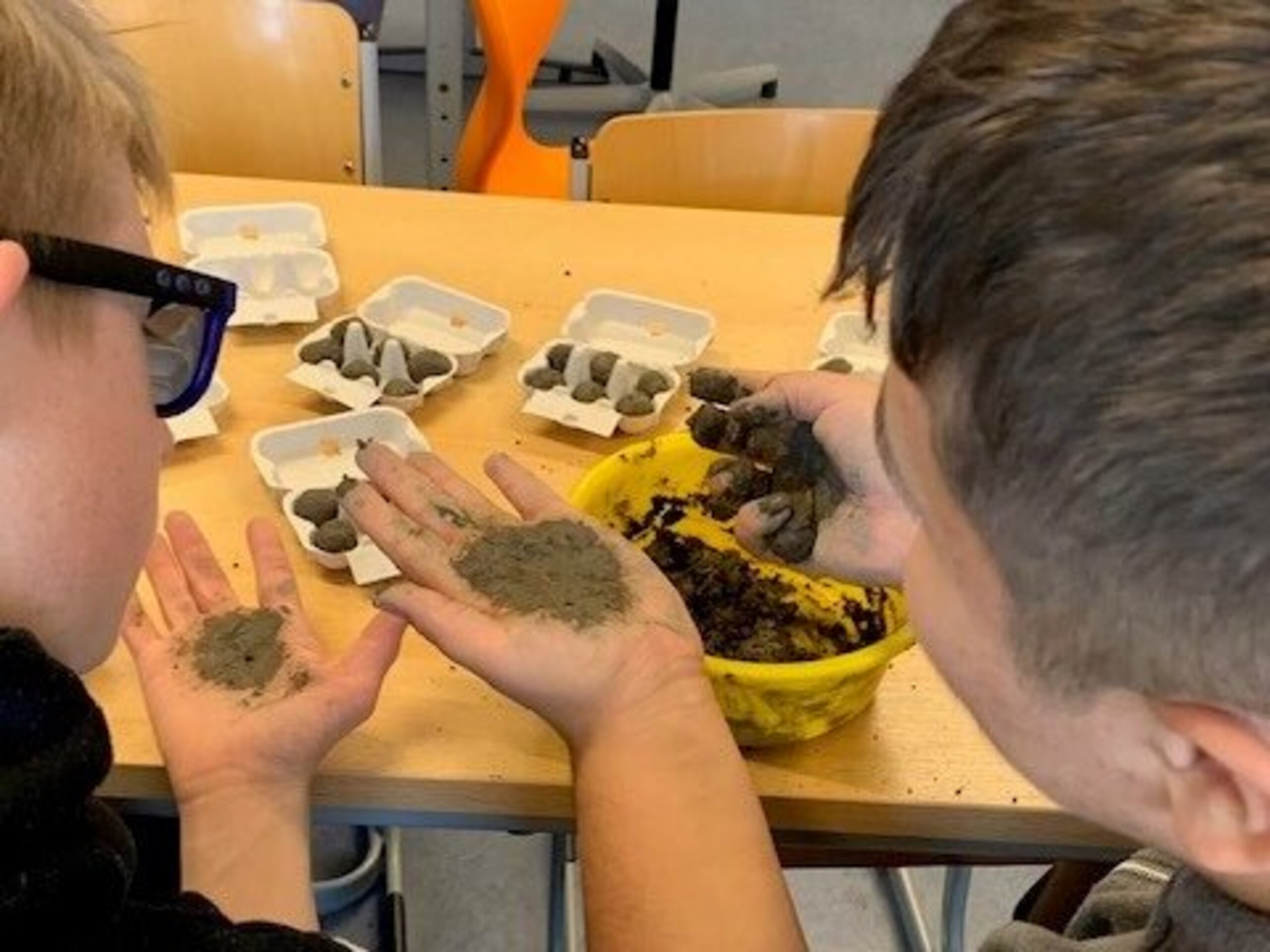 Die Samenkugeln werden per Hand gerollt