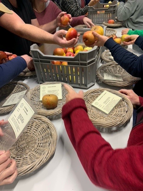 Äpfel von Streuobstwiesen 